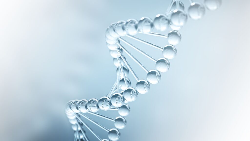 medicina regenerativa